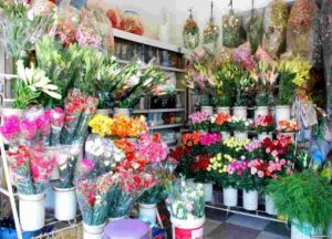 Shop hoa tươi Đường Trần Thị Nhượng Sa Đéc