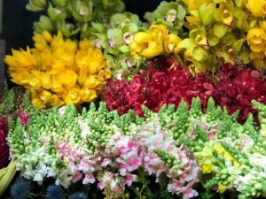 Shop hoa tươi Đại lộ Hùng Vương Sa Đéc